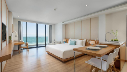 峴港-TMS海灘飯店