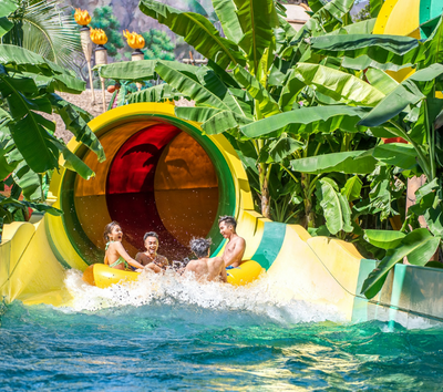 珍珠奇幻樂園 (粉色夢幻城堡、摩天輪、巨型海龜水族館、美人魚秀)→越南家常料理