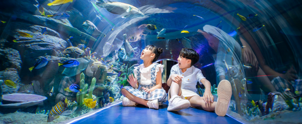 珍珠奇幻樂園 (粉色夢幻城堡、摩天輪、巨型海龜水族館、美人魚秀)→越南家常料理