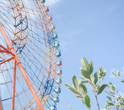 珍珠水陸樂園(巨型海龜水族館/摩天輪/雲霄飛車/光雕表演秀)→大世界海鮮風味餐→逛逛富國大世界