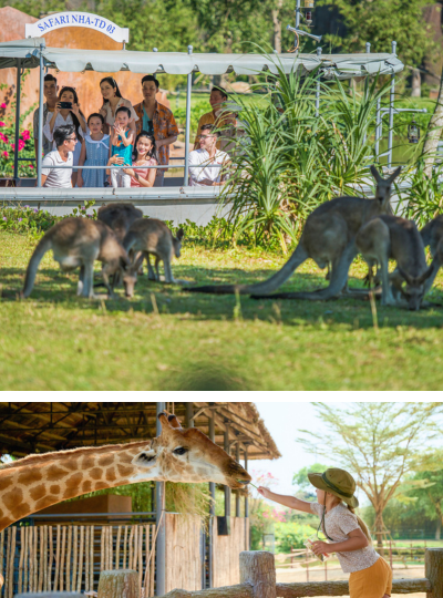 南會安~珍珠奇幻樂園 (動力艇遊動物園、遊樂設施、民俗表演)→竹子餐廳→會安印象秀