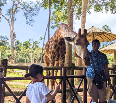 越南最大~珍珠野生動物園(動物表演、SAFARI遊獵車、環尾狐猴、火鶴鳥、長頸鹿餐廳餵長頸鹿)→富國島~珍珠水陸樂園(海洋博物館、海底隧道、光雕表演秀)