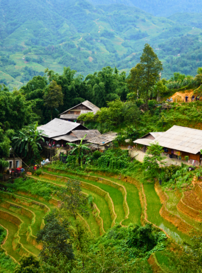 老柴梯田&塔萬民族村→稻田景觀餐廳→臥鋪巴士返回河內→越南必吃(黃煎餅+春捲)