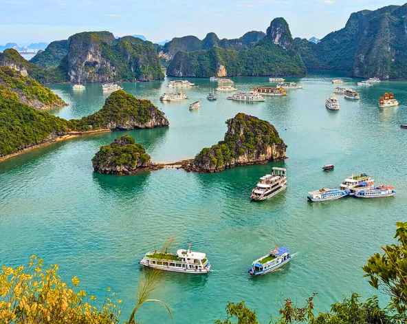 蘭夏灣船宿旅行(晨間太極、黑暗洞穴和明亮洞、早午餐)→專車返回河內→河內機場→台北