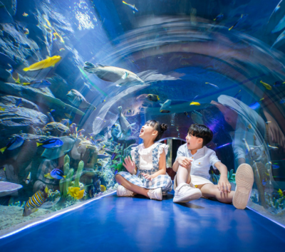 珍珠奇幻樂園 (粉色夢幻城堡、摩天輪、巨型海龜水族館、必看Once閉園秀)→大世界越式風味餐