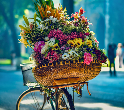 陸龍灣 (長安生態保護區~乘坐特色竹筏遊船、華閭古鎮)→電瓶車遊36古街&自由逛街