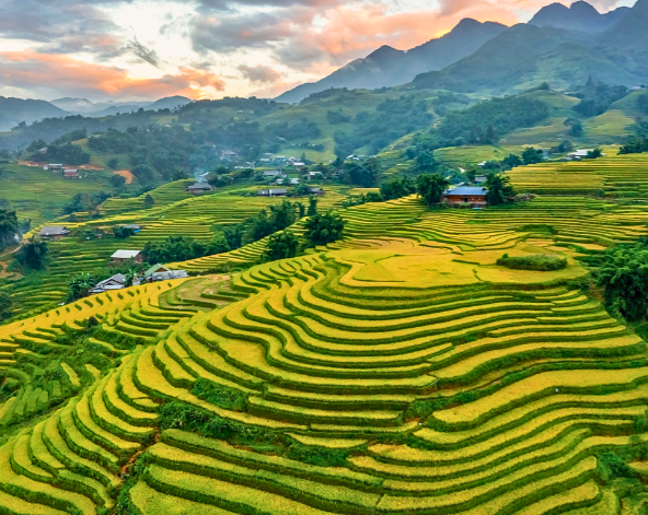 老柴梯田健行→塔萬民族村→沙壩風味餐→體驗臥鋪巴士返回河內→越南必吃(黃煎餅+春捲組合)
