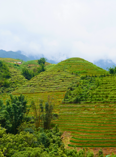 老柴梯田&塔萬民族村→稻田景觀餐廳→臥鋪巴士返回河內→越南必吃(黃煎餅+春捲)