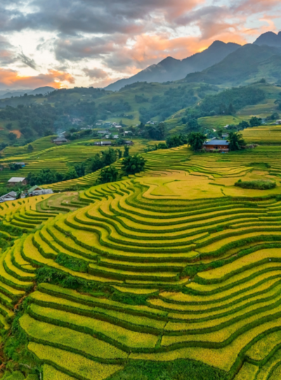 老柴梯田&塔萬民族村→稻田景觀餐廳→臥鋪巴士返回河內→越南必吃(黃煎餅+春捲)
