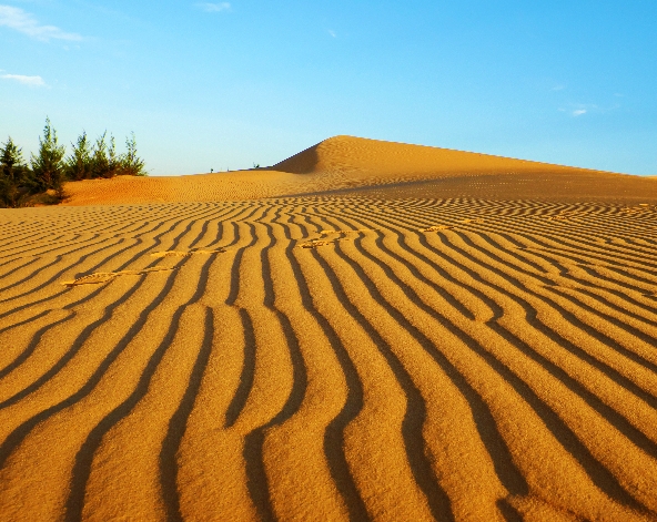 越南旅遊推薦-胡志明、美奈絕美日出一日遊!