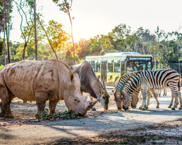 珍珠野生動物園(鳥類表演秀、Safari野生動物遊獵車)→富國大世界&貢多拉遊船→金剛超市旗艦店→海鮮先生