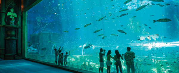 珍珠奇幻樂園(巨型海龜水族館/園內午餐)→海鮮風味餐