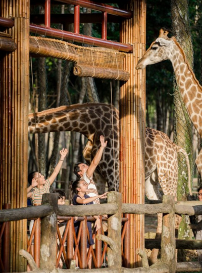 珍珠動物園(Safari遊獵車)→道地小卷米粉→富國大世界&貢多拉遊船體驗