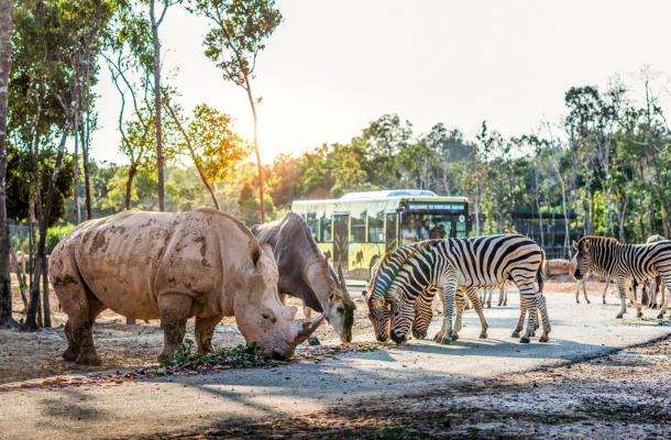 珍珠動物園(Safari遊獵車)→道地小卷米粉→富國大世界&貢多拉遊船體驗