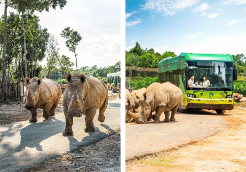 珍珠動物園&Safari 遊獵車→道地小卷米粉→富國大世界(貢多拉遊船/泰迪熊博物館/國粹秀)