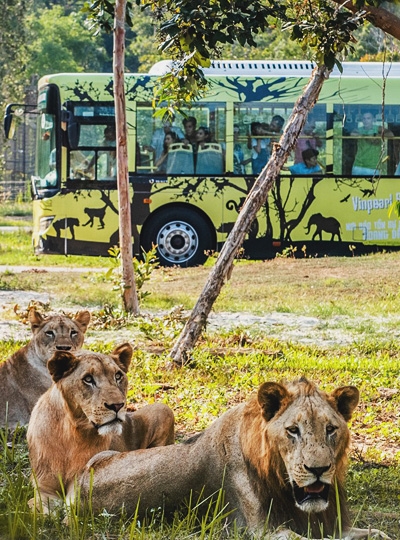 初一 Day 2 珍珠動物園&Safari 遊獵車→珍珠奇幻樂園 (巨型海龜水族館&水陸遊樂園)→富國大世界享用晚餐